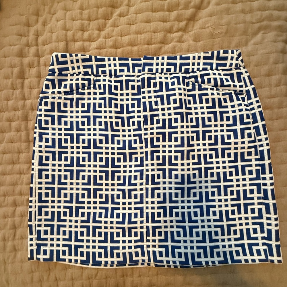 Ann Taylor Loft Mini Skirt